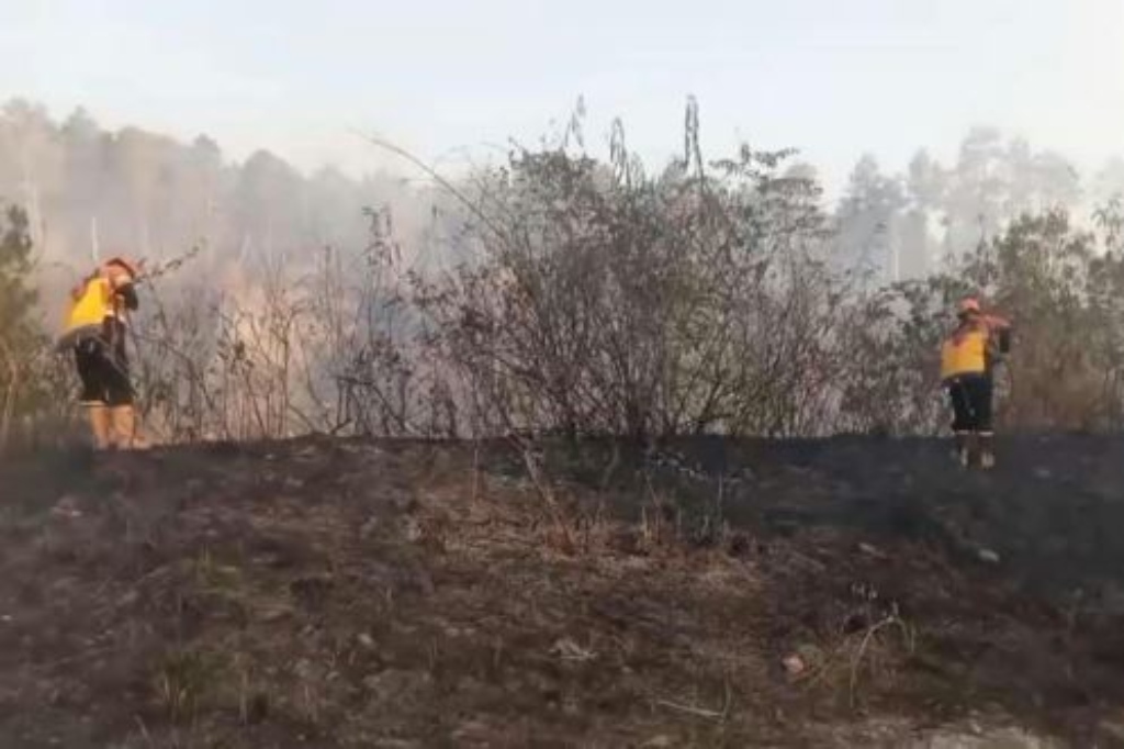 Kebakaran Hutan di Taman Nasional Gunung Merapi Hanguskan 4 Hektare Lahan