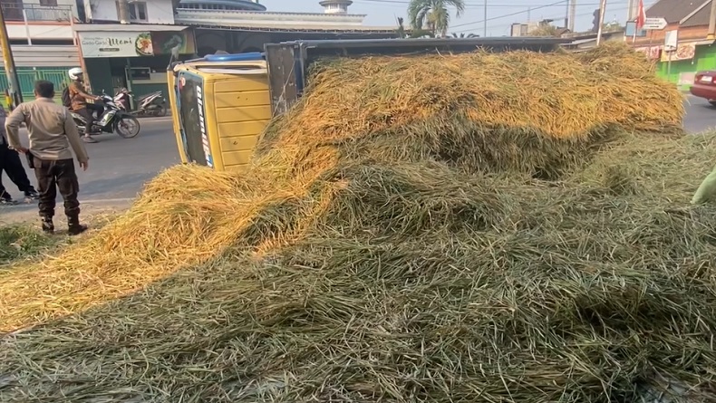 Truk Penuh Muatan Padi Terguling di Jombang, 16 Orang Tertimbun