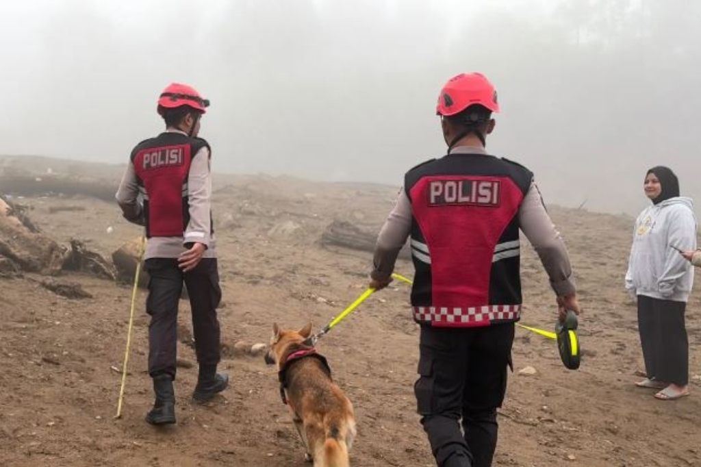 Polda Sumbar Kerahkan 2 Anjing Pelacak Cari Korban Banjir Bandang di Solok