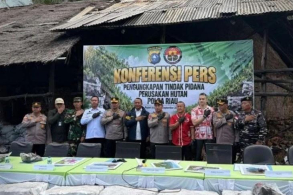 Polda Riau Bongkar Produksi Arang Bakau di Rupat, 140 Ton Disita sebelum Dikirim ke Malaysia
