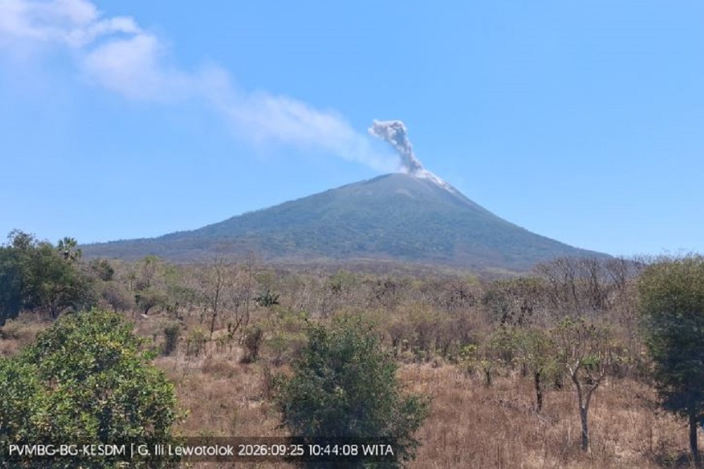Gunung Ili Lewotolok di NTT Erupsi, Kolom Abu Capai 700 Meter