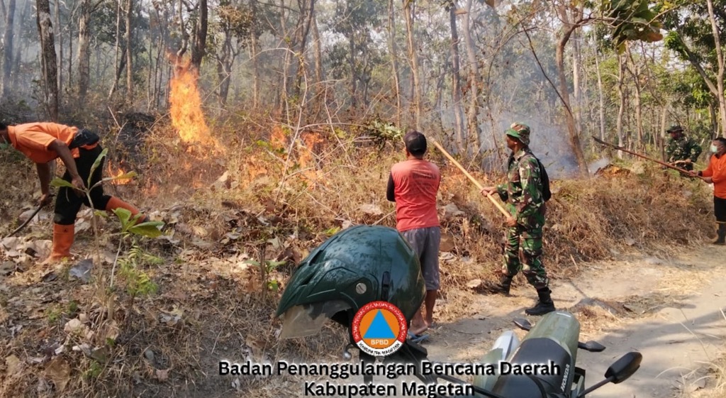 62 Hektare Lahan Terbakar di 4 Provinsi, BNPB Ungkap Rinciannya