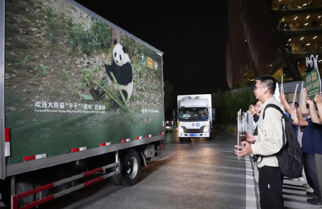 2 Panda Raksasa Tiba di Atlanta usai Pertemuan Trump-Xi Jinping