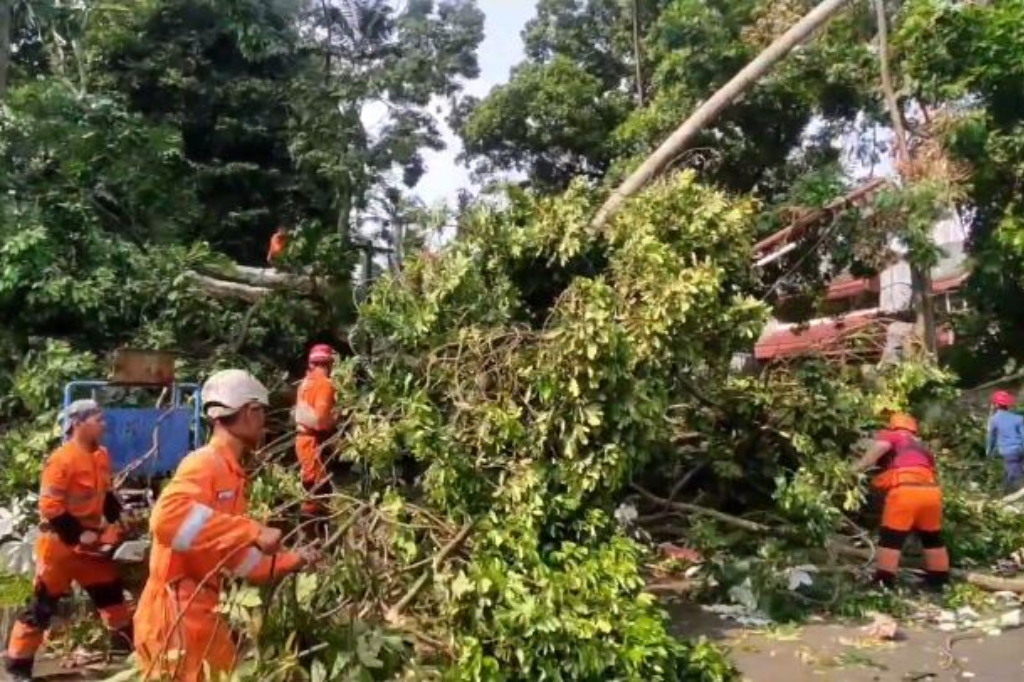 Detik-Detik Pohon Tumbang di Villa Duta Bogor Terekam CCTV, 2 Orang Dilarikan ke RS