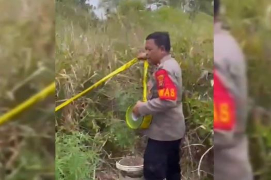 Polisi Bongkar Ladang Ganja Tersembunyi di Kaki Gunung Seminung Lampung Barat