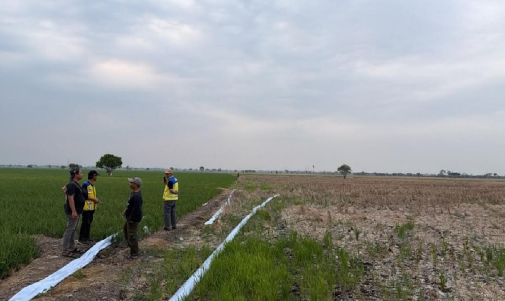 Kekeringan Landa 600 Hektare Sawah di Bekasi, BBWS Citarum Operasikan 3 Pompa Air