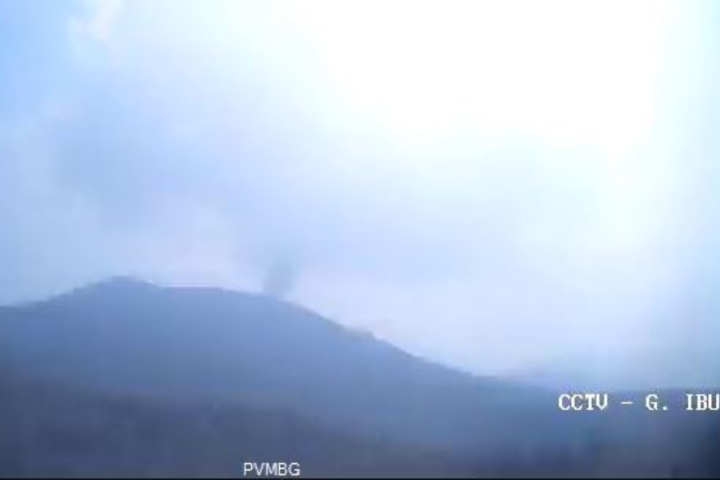 Gunung Ibu Erupsi, Kolom Abu Tebal Membubung Setinggi 400 Meter