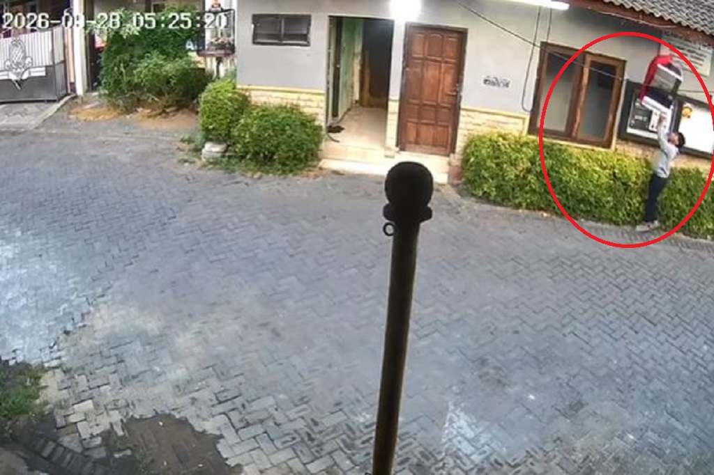Burung Cucak Hijau Jawara Kontes Berkicau Dicuri, Aksi Pelaku Terekam CCTV