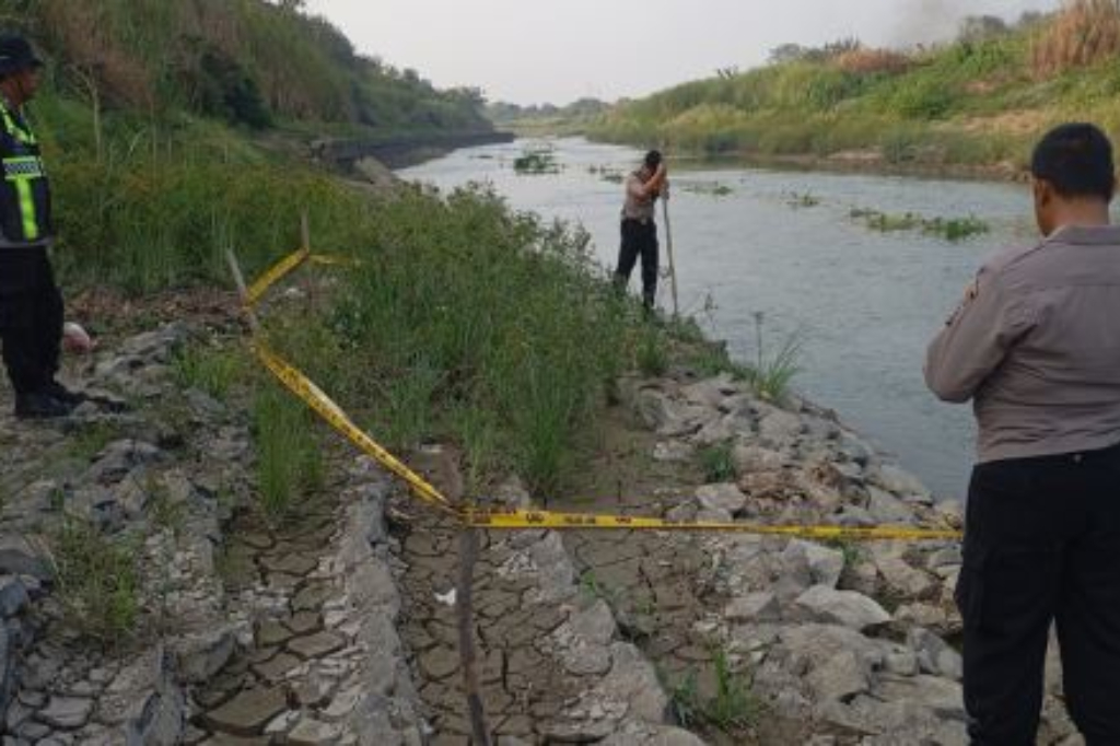 Tengkorak Berambut Panjang Ditemukan di Sungai Citarum Bekasi, Polisi Turun Tangan