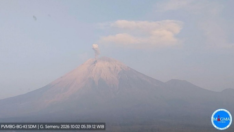 Gunung Semeru Erupsi Lagi, Warga Diminta Jauhi Besuk Kobokan hingga Radius 13 Km