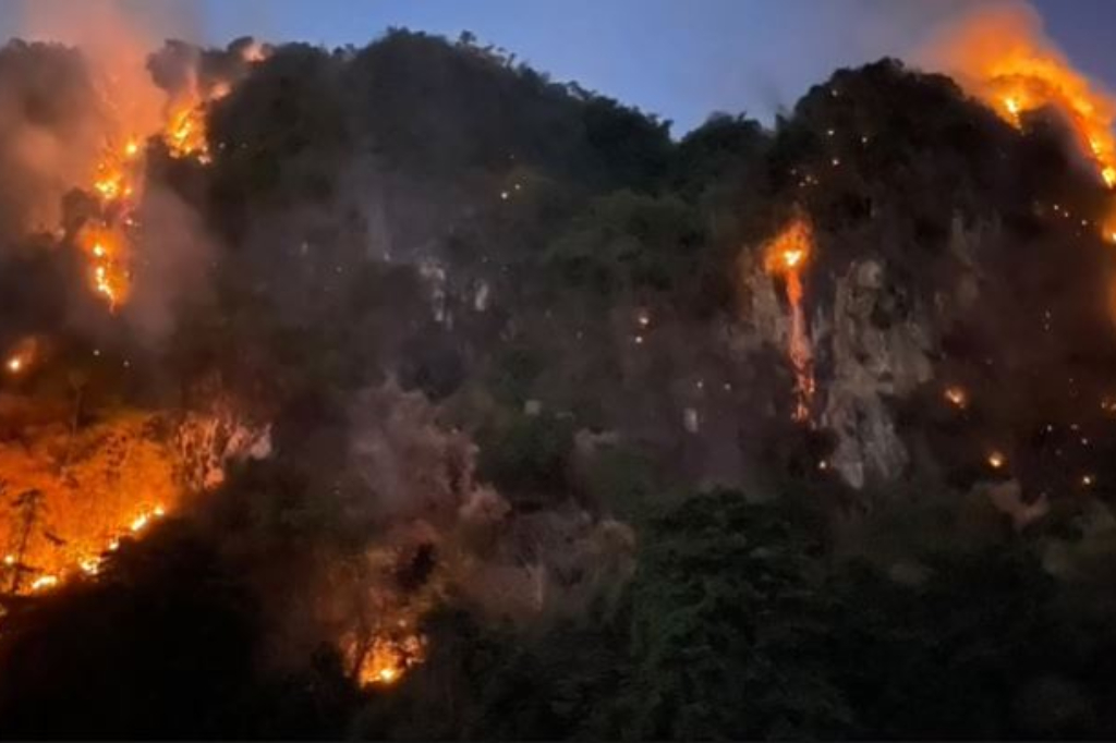Karhutla di Gunung Karst Lesang Hanguskan 21,5 Ha Lahan, Api Mengarah ke Permukiman