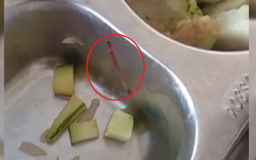 Viral Menu MBG di Pati Ditemukan Cacing dan Ulat, Plt Bupati Langsung Sidak SPPG