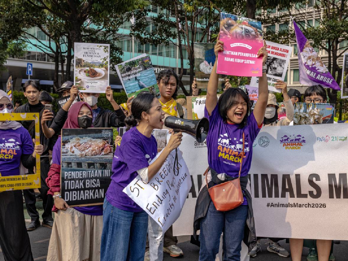 Aktivis Serukan Boikot Influencer Pemelihara Hewan Liar, Ini Alasannya!