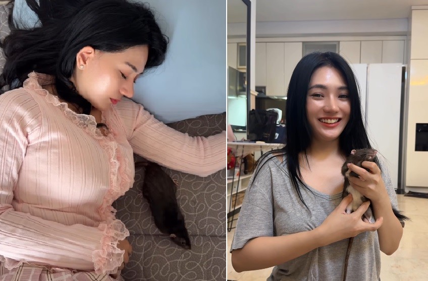 Berlliana Lovell Punya Hobi Aneh Pelihara Tikus di Apartemen, Sampai Dibuatkan Kamar Khusus