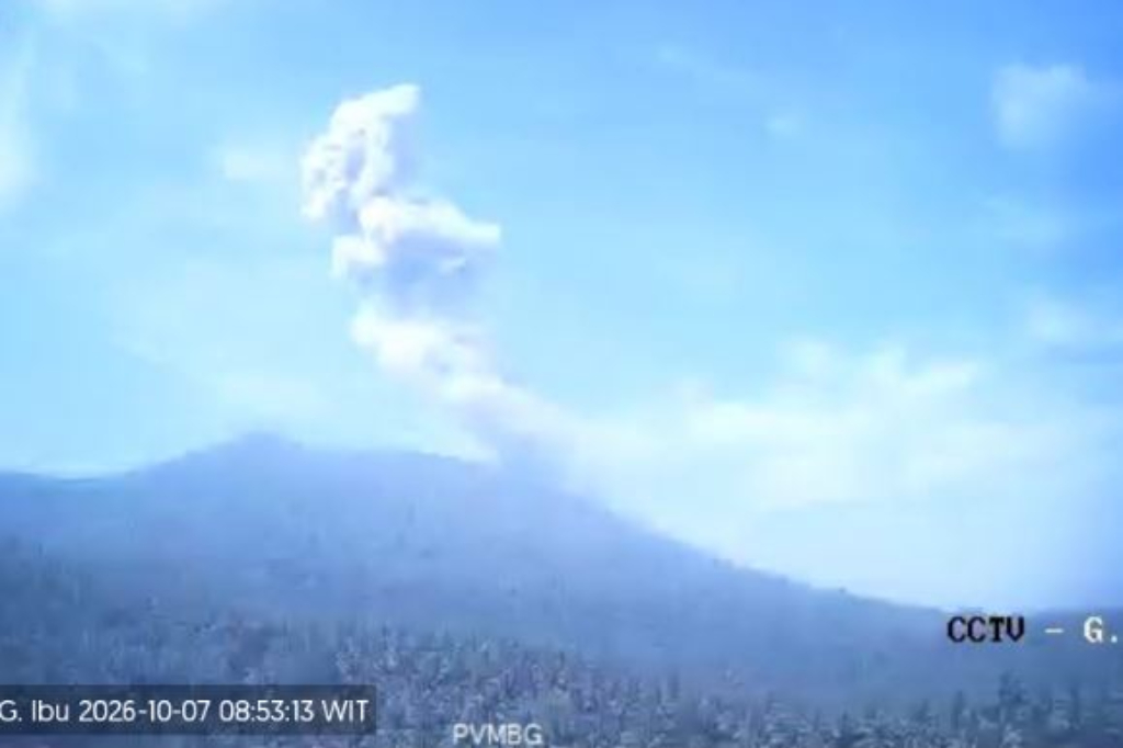 Gunung Ibu Erupsi Pagi Ini, Muntahkan Abu Tebal Setinggi 700 Meter
