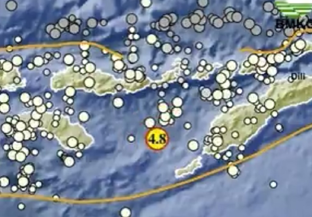 Gempa Dangkal M4,8 Guncang Saburaijua NTT, Berpusat di Laut