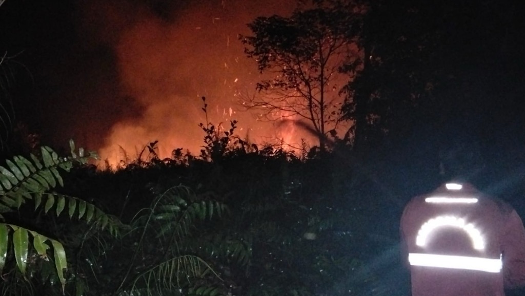 Karhutla Kalimantan Belum Padam, Petugas Hadapi Kendala Akses dan Air