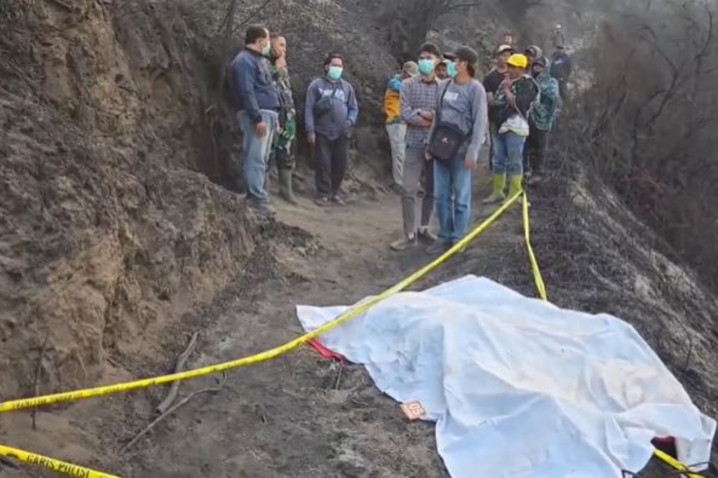 Tragedi Karhutla Bromo! Petugas TNBTS Terjebak Api saat Pemadaman, 3 Orang Tewas 3 Luka Bakar