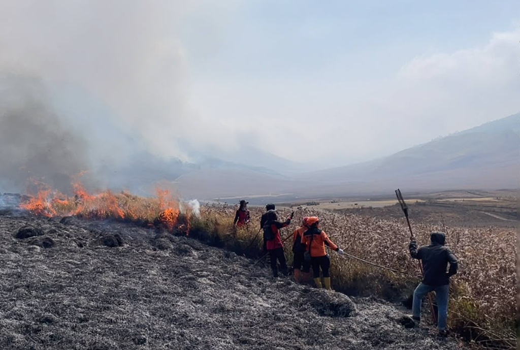 BNPB: 4 Petugas Gugur saat Padamkan Karhutla Bromo