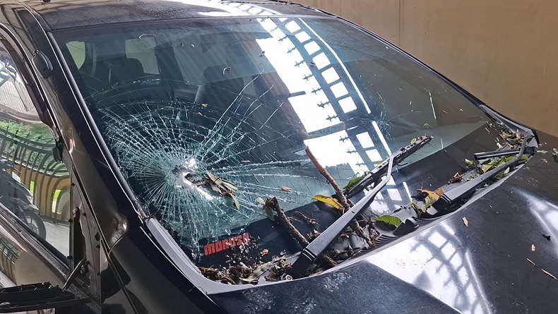 Pohon Tumbang Diterjang Hujan Deras dan Angin Kencang Timpa Mobil di Labuhanbatu