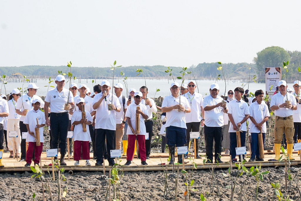 Lindungi Pantai Utara Jawa dari Abrasi, BRI Tanam 30 Ribu Mangrove dan Olah Sampah Jadi Pemecah Ombak
