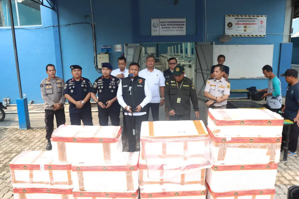 Terungkap! Penyelundupan Benih Lobster ke Vietnam Tembus 1 Juta Ekor Sehari
