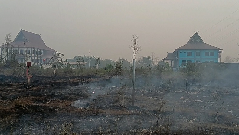Karhutla Palangka Raya Meluas, Api Dekati Perkantoran dan Tower SUTET