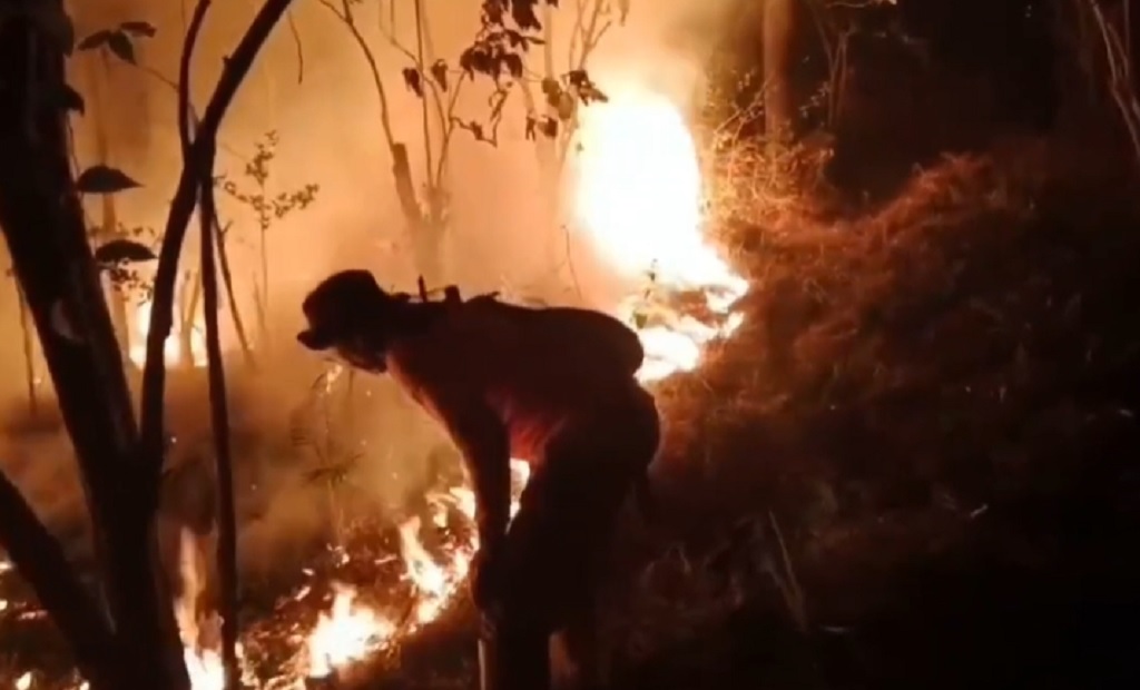 Karhutla Gunung Ciremai Meluas Tembus 60 Hektare, Angin Kencang Hambat Pemadaman