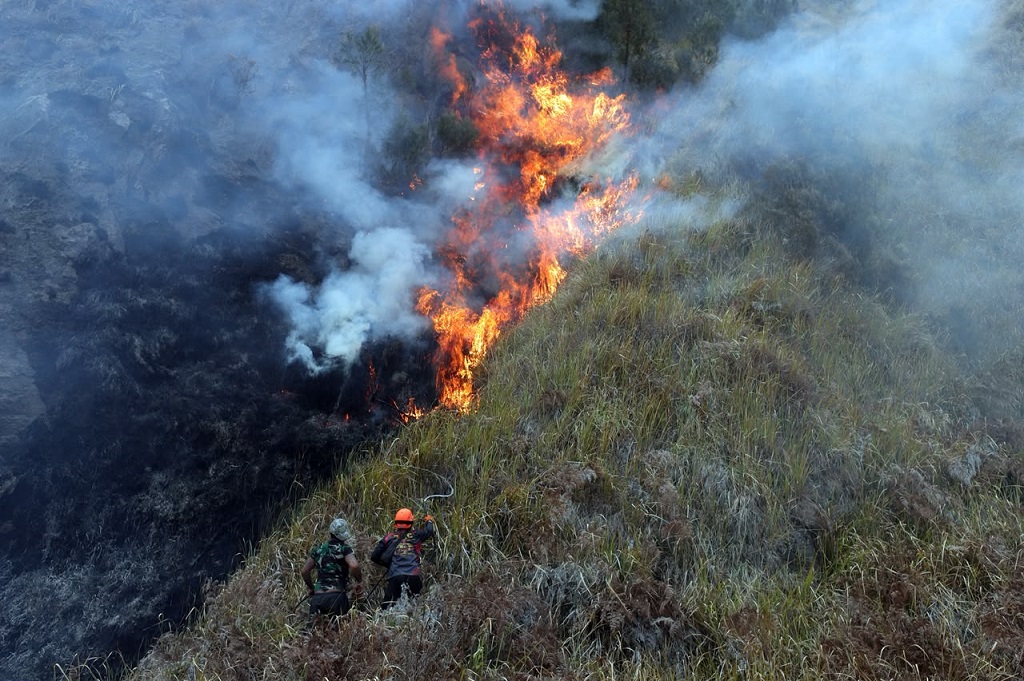 38.772 Personel Dikerahkan Tangani Karhutla Kalimantan, Luas Area Terbakar 18.973 Ha