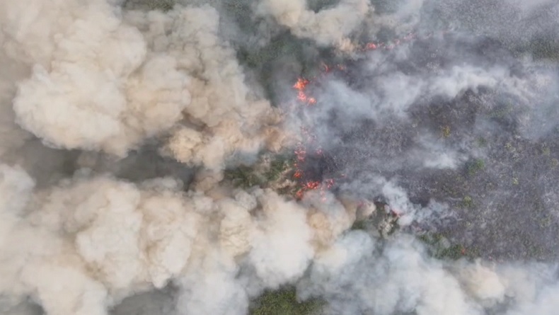 Karhutla Jambi Hampir 5.000 Hektare, Pemadaman Terkendala Air dan Angin Kencang