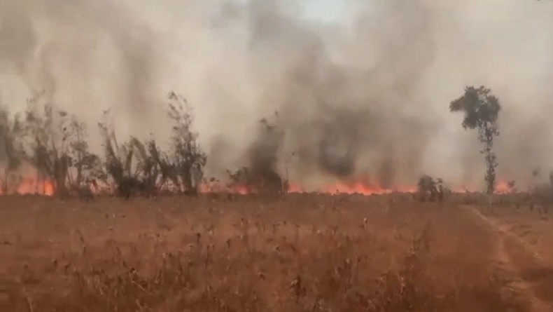 Kebakaran Lahan di Lampung Utara Hanguskan Puluhan Hektare, Penyebab Masih Diselidiki