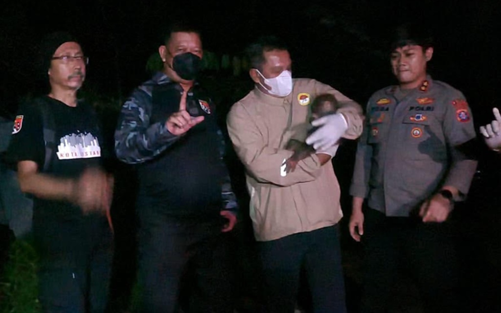 Terjebak Karhutla Kalteng, Induk dan Anak Orang Utan Berhasil Diselamatkan