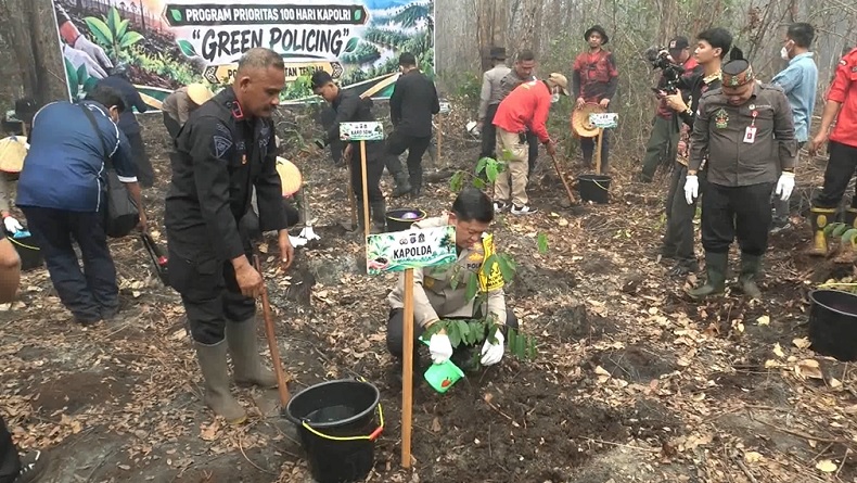Pulihkan Lahan Bekas Karhutla, Polda Kalteng Tanam 500 Pohon Belangiran