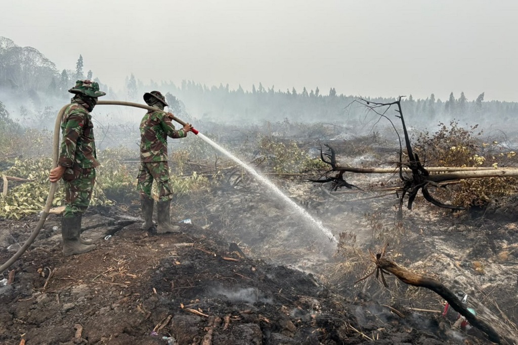 Update Karhutla: 1.566 Hektare Lahan di Kalimantan Masih Terbakar, Sumatera Sisa 23 Ha