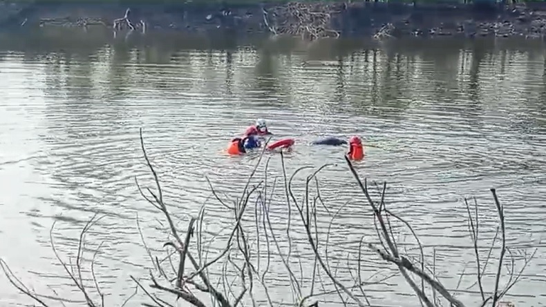 Petugas Keamanan Semen Tonasa Ditemukan Tewas Mengapung di Waduk