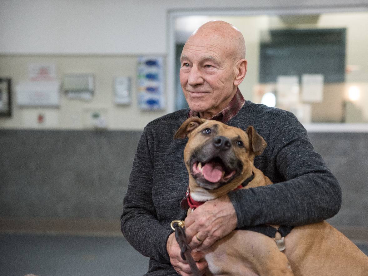 Apa Itu Demensia Lewy Body, Penyakit yang Diidap Sir Patrick Stewart sebelum Tutup Usia?
