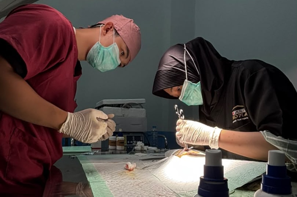 Polri dan Pemkot Jakbar Sterilisasi 34 Kucing, Tekan Populasi dan Cegah Rabies