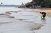 Pesisir Pantai Balikpapan Tercemar Tumpahan Minyak - Bagian 2