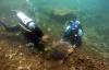 48 Jam Amati Biota Laut di Bangsring Underwater Banyuwangi - Bagian 1