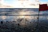 Dipenuhi Sampah, Begini Kondisi Memprihatinkan Pantai Kuta Bali - Bagian 5