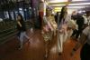 Miss World 2017 Tiba di Indonesia - Bagian 4