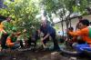 Wali Kota Liverpool Jalan-Jalan ke Hutan Mangrove Surabaya - Bagian 7