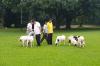 Aktivitas Jokowi-Airlangga Pagi Ini, Joging dan Beri Makan Kambing - Bagian 5