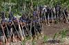 Suku Baduy Gelar Ritual Tahunan Ngasek Pare - Bagian 3