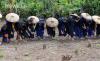 Suku Baduy Gelar Ritual Tahunan Ngasek Pare - Bagian 4