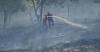 10 Hektare Lahan Gambut di Pekanbaru Terbakar
