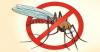 Perbukitan Menoreh Masih Jadi Daerah Endemis Malaria, Awal 2022 Ditemukan 6 Kasus