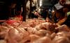 Ayam dan Babi Sepi Pembeli, Pedagang di Bali Terpaksa Obral