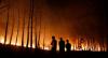 Kebakaran Hutan Besar-besaran di Prancis, 9,3 Juta Meter Persegi Lahan Hangus Dilalap Api