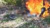 Dua Pemotor di Bintan Tewas Terbakar Usai Tabrak Pohon